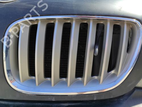 grillgitter-bmw-x5-e53-44-i-2000-2001-2002-2003-2004-2005-2006-13100109 main image