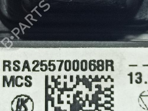 Mirror switch RENAULT CLIO IV (BH_) 1.5 dCi 90 | BP11804916I25