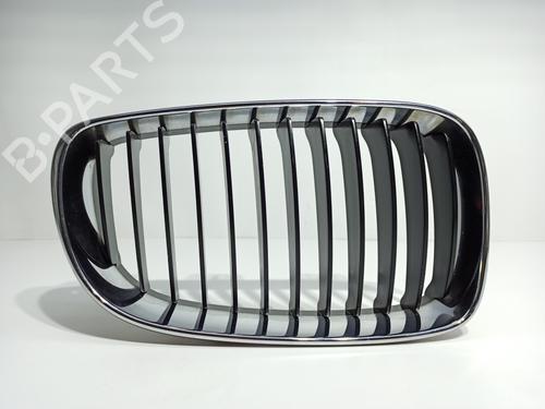 Grill / Grid BMW 1 (E87) [2003-2013]  16755366