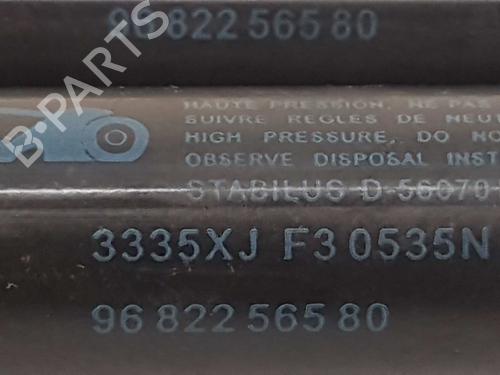 Tailgate lift support CITROËN C5 III Break (RW_) 1.6 HDi 110 | BP14529718C138