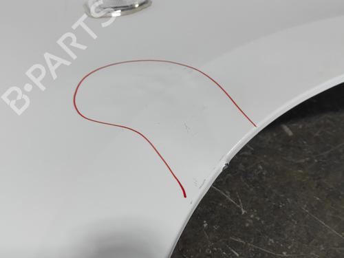 Right front fenders RENAULT EXPRESS Box Body/MPV  | BP26535549C42