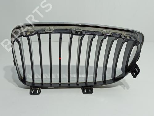 Grille BMW 1 (E87)  | BP16755366C40 