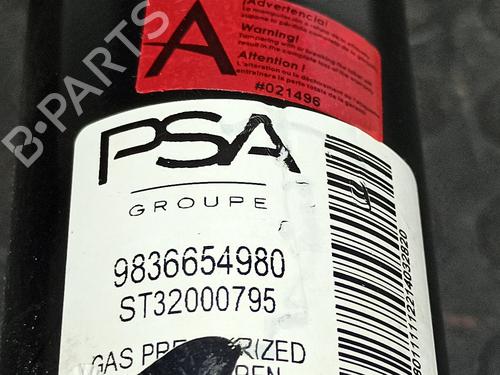 Left front shock absorber PEUGEOT 2008 II (UD_, US_, UY_, UJ_, UR_, UC_) 1.5 BlueHDI 130 | BP13234506M16