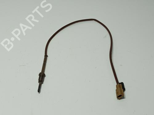 Elektronisk sensor RENAULT KANGOO Express (FW0/1_) [2008-2025]  23953314