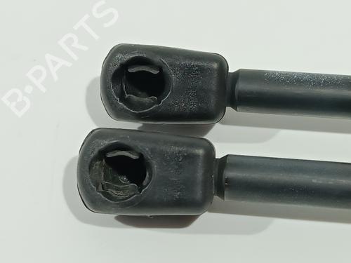 Tailgate lift support LAND ROVER DISCOVERY SPORT (L550) 2.0 D 4x4 | BP25014742C138 