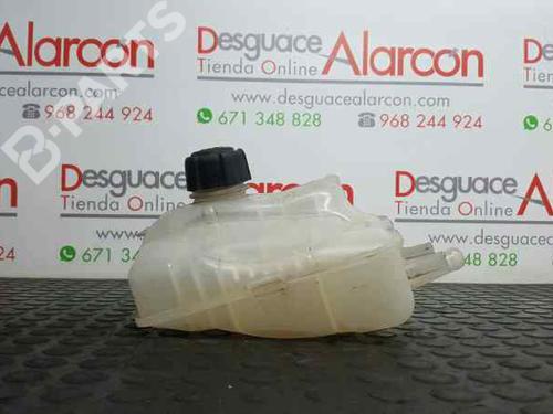 Expansion tank RENAULT MEGANE III Hatchback (BZ0/1_, B3_) 1.5 dCi (BZ09, BZ0D, BZ1W, BZ29, BZ14) | BP2731882C120 