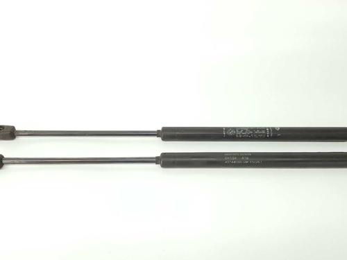 Tailgate lift support FIAT PUNTO (188_) 1.4 46744596 | 6986MG