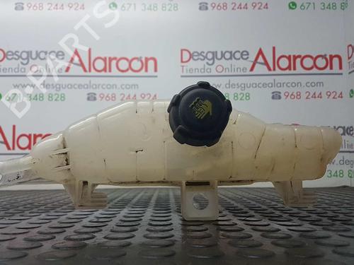 Expansion tank RENAULT CLIO III (BR0/1, CR0/1) 1.5 dCi | BP2771024C120 