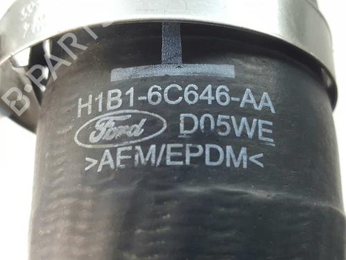 Pipe FORD FIESTA VII (HJ, HF) 1.0 EcoBoost | BP14535839M125 