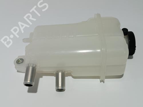 Expansion tank TOYOTA RAV 4 V (_A5_, _H5_) 2.5 Hybrid AWD (AXAH54) | BP16438137C120