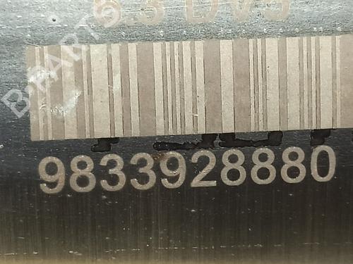 Catalyst PEUGEOT EXPERT Van (V_) 1.5 BlueHDi 100 | BP22376173M10 