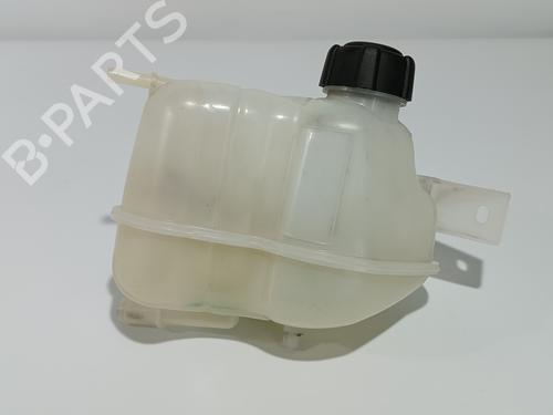 Expansion tank NISSAN X-TRAIL III (T32_, T32R, T32RR) 1.6 dCi (T32) | BP12226749C120