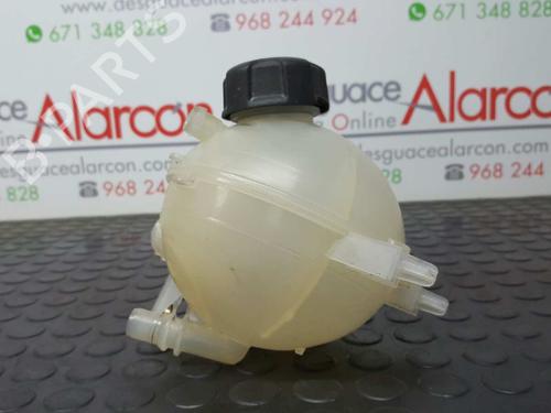 Expansion tank CITROËN BERLINGO MULTISPACE (B9) 1.6 HDi 90 4x4 | BP2734524C120