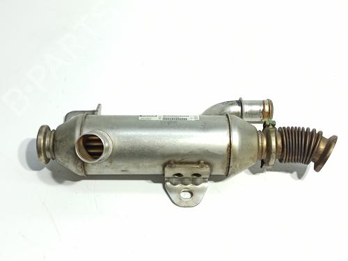 Egr CITROËN XSARA PICASSO (N68) 2.0 HDi | BP16939616M69