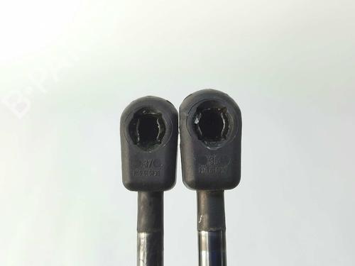 Hood lift support LAND ROVER FREELANDER 2 (L359) 2.2 TD4 4x4 | BP14538410C139 