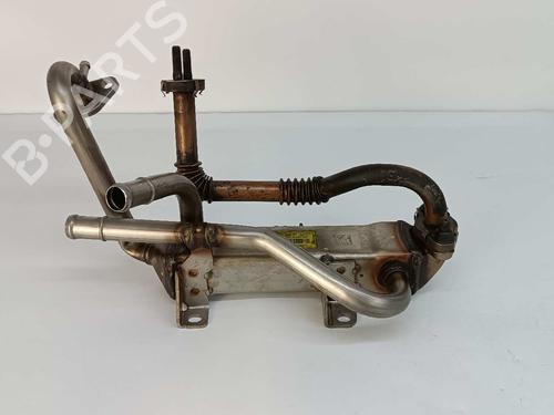 Egr HYUNDAI IONIQ (AE) 1.6 GDI Hybrid 2841003HD0
