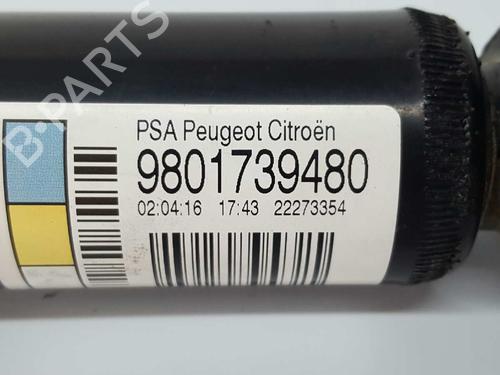 Right rear shock absorber CITROËN C3 II (SC_) 1.6 BlueHDi 75 | BP2746276M19