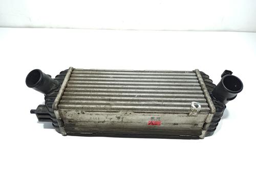 Intercooler KIA CARENS IV | BP32282249M30