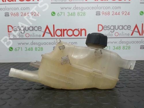 Used Expansion tank RENAULT MEGANE III Hatchback (BZ0/1_, B3_) 1.5 dCi (86 hp) 2728787