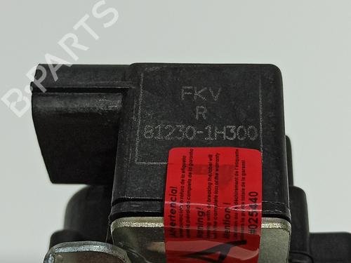 Tailgate lock HYUNDAI ix35 (LM, EL, ELH) 1.7 CRDi | BP18527098C101 