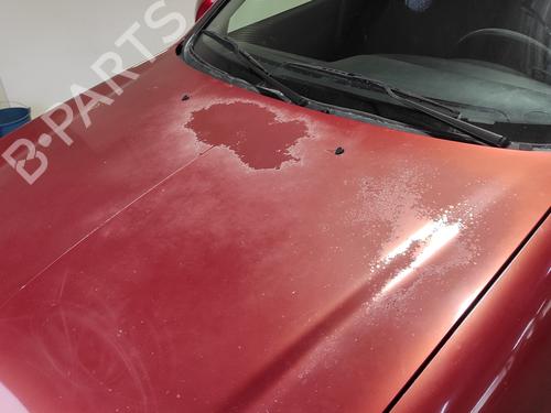 Hood CITROËN XSARA (N1) 2.0 HDi 90 | BP29517088C1