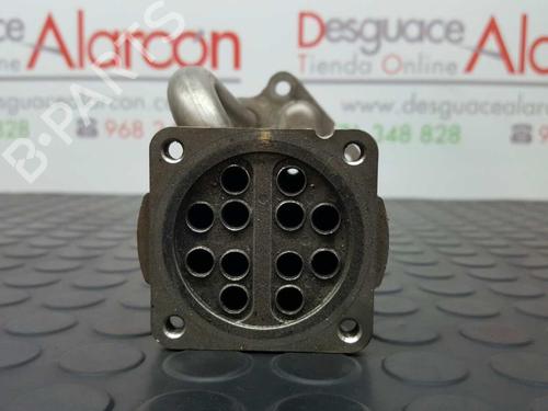 Egr RENAULT CLIO III (BR0/1, CR0/1) 1.5 dCi (BR17, CR17) | BP14529656M69 