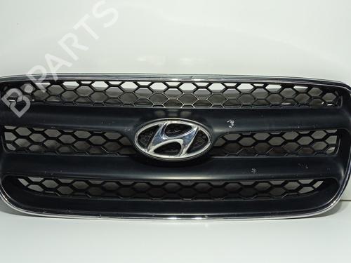 Used Grille HYUNDAI SANTA FÉ II (CM) 2.2 CRDi (155 hp) 25981871