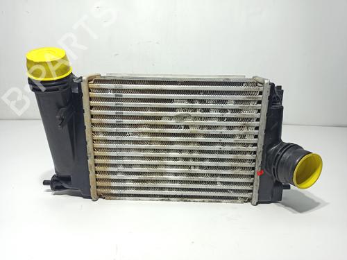 Intercooler Intercooler NISSAN QASHQAI II (J11, J11_) [2013-2026] 36917659 36917659