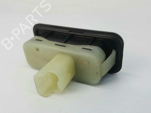 Tailgate handle RENAULT CLIO III (BR0/1, CR0/1) 1.5 dCi (BR17, CR17) | BP2771433C132