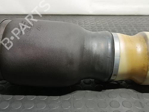 Right rear shock absorber LAND ROVER RANGE ROVER III (L322) 4.4 D 4x4 | BP11755718M19 