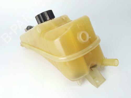 Expansion tank PEUGEOT PARTNER MPV (5_, G_) 1.6 HDi 90 | BP6516914C120