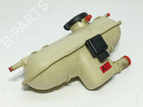 Expansion tank PEUGEOT PARTNER Box Body/MPV (5_, G_) 1.9 D | BP25587254C120