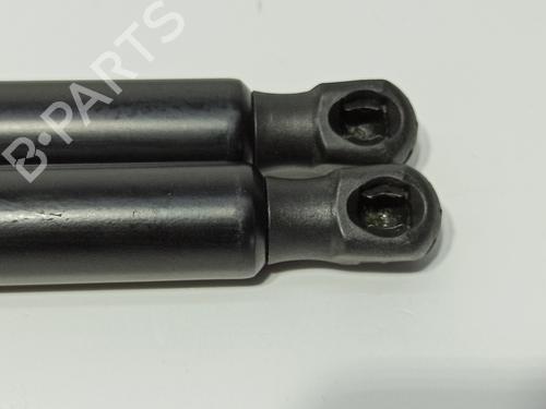 Tailgate lift support PEUGEOT 5008 II (MC_, MJ_, MR_, M4_) 1.2 THP (MRHNYH, MRHNYW, MRHNSJ, MRHNSU, MRHNSM) | BP29294810C138 