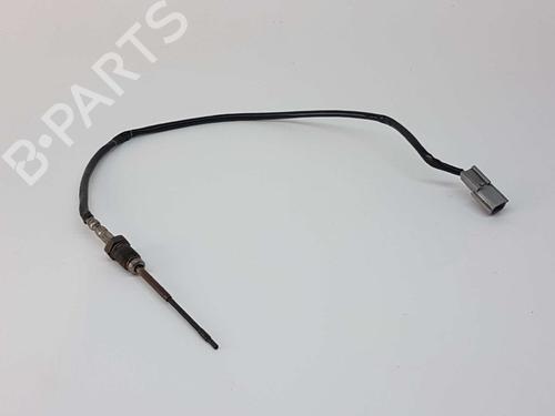 Elektronensonde für RENAULT SCÉNIC III (JZ0/1_) 1.5 dCi (110 hp) 8749436
