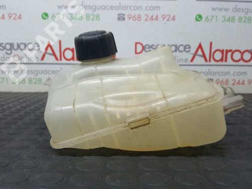 Used Expansion tank RENAULT MEGANE III Hatchback (BZ0/1_, B3_) 1.5 dCi (86 hp) 2756261