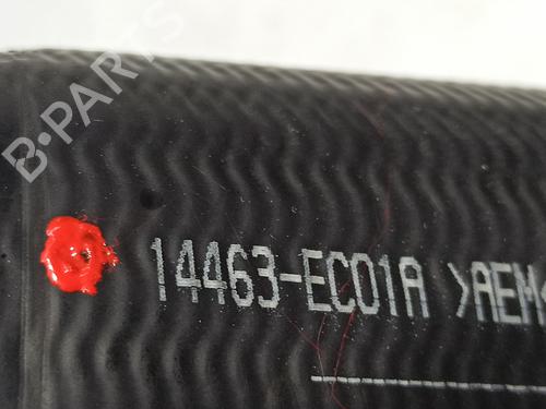 Pipe NISSAN PATHFINDER III (R51) 2.5 dCi | BP14545036M125