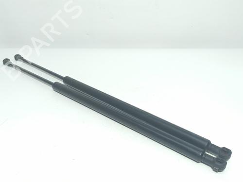 Tailgate lift support BMW X5 (E53) 3.0 d | BP14534400C138 