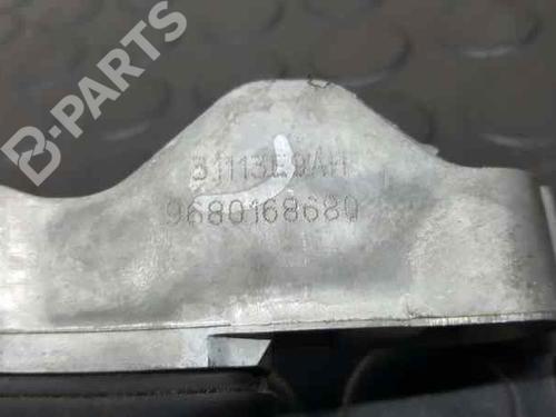 Front left exterior door handle CITROËN C3 Picasso (SH_) 1.6 HDI 90 | BP2753736C128 