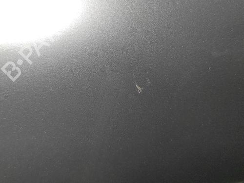 Forskærm venstre VW PASSAT B5.5 (3B3) 1.9 TDI | BP32294554C41