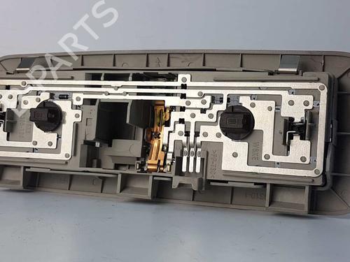 Interior roof light NISSAN PATHFINDER III (R51) 2.5 dCi | BP11387388I8