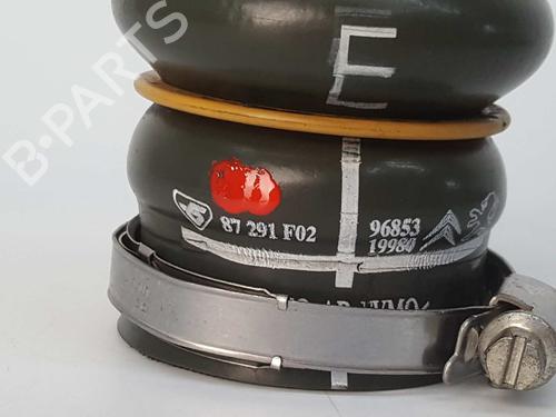 Pipe PEUGEOT 208 I (CA_, CC_) 1.6 HDi | BP14542333M125 