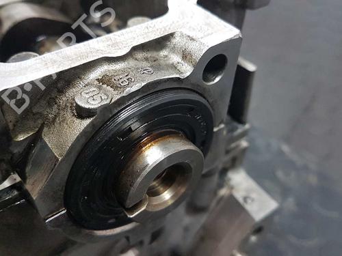 Cylinder head FORD FIESTA V (JH_, JD_) 1.4 TDCi | BP10977636M5