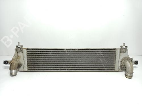 Used Intercooler NISSAN QASHQAI I (J10, NJ10) 1.5 dCi (106 hp) 22887031
