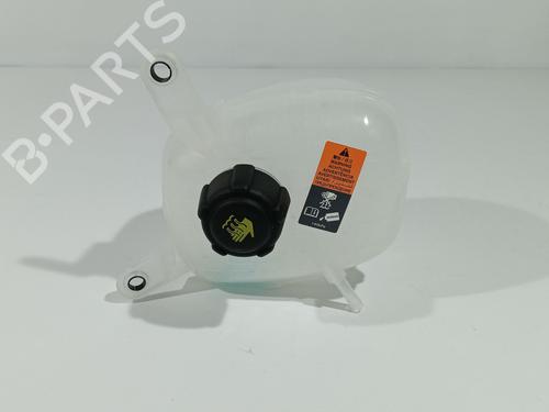 vaso-de-expansao-renault-austral-2022-31824783 main image