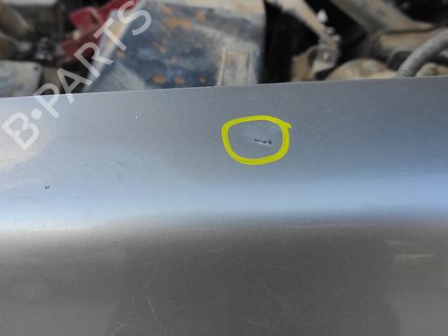 Left front fenders NISSAN X-TRAIL I (T30)  | BP21126759C41 