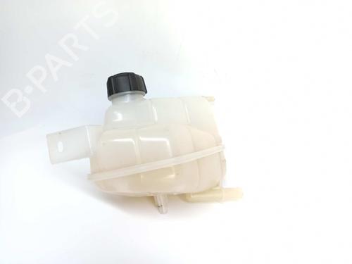 Expansion tank RENAULT KADJAR (HA_, HL_) 1.5 dCi 110 (HLA3) | BP8926365C120 