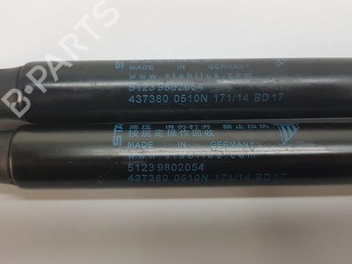 Hood lift support MINI MINI PACEMAN (R61) Cooper D ALL4 | BP14541211C139