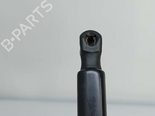 Tailgate lift support VW GOLF VII (5G1, BQ1, BE1, BE2) 1.4 TSI | BP14541899C138