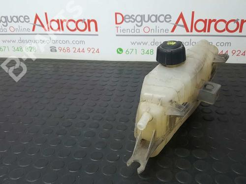 Expansion tank RENAULT CLIO III (BR0/1, CR0/1) 1.5 dCi (BR17, CR17) | BP2739399C120 