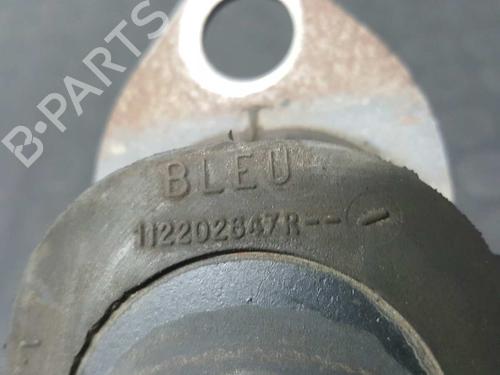 Engine mount RENAULT KANGOO Express (FW0/1_)  | BP10263207M89